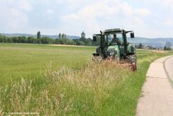 Jürgen Hetzler_Stadt Heilbronn_Randstreifen_Heumahd.jpg