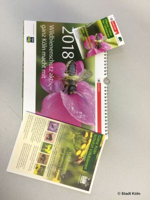 koeln_wildbienenprojekt_01.jpg