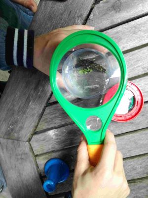 Mikrokosmos Natur_ Jacob Wieder_klein.jpg