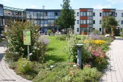 Umwandlung_Bad Saulgau_3.jpg