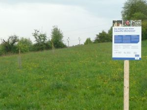 obstwiesen_ravensburg2.JPG
