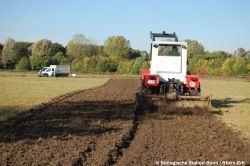 (c) Biostation-BN-REK.jpg