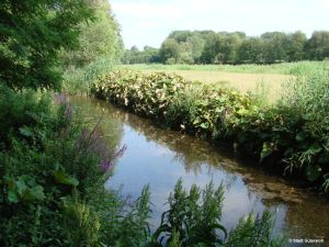 Renaturierung_Dalke_Stadt Gütersloh1.jpg