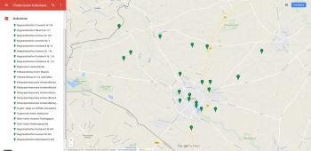 Wegrandstreifen_Vreden (2).jpg