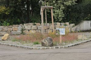 Naturnah dran_Ravensburg (4).jpg