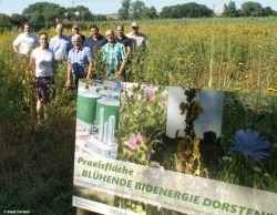 bluehendebioenergie.jpg