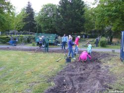 Speyer_Anlage Wildbienenbeet.jpg