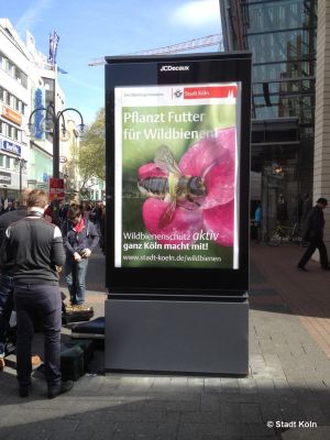 koeln_wildbienenprojekt_02.jpg