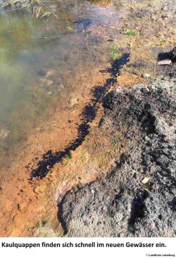 Landkreis Lueneburg_Fischteichanlage3.jpg