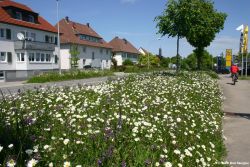 Umwandlung_Bad Saulgau_2.jpg