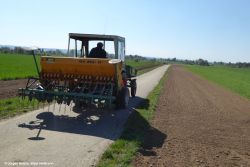 Jürgen Hetzler_Stadt Heilbronn_Randstreifen_Neuanlage_2019.jpg