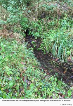 Landkreis Lueneburg_Fischteichanlage4.jpg