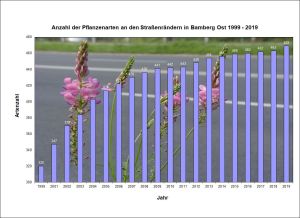 Anzahl der Pflanzen an den Straßenrändern in Bamberg Ost 1999-2019.jpg