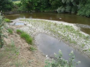 Flussrenaturierung_Ravensburg (1).JPG