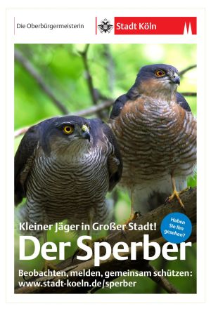 Sperberposter_klein.jpg