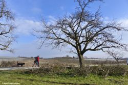 Stadt Friedrichshafen_3.jpg