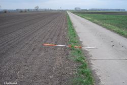 Stadt Riedstadt_Wegraine.jpg