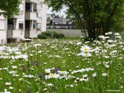 Umwandlung_Bad Saulgau_4.jpg