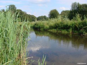 Renaturierung_Dalke_Stadt Gütersloh2.jpg