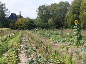 Das Gartenlabormodul kräutergarten_Joachim_Bauer_klein.jpg