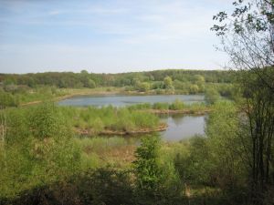 Gesamtbild der Grube_klein.jpg