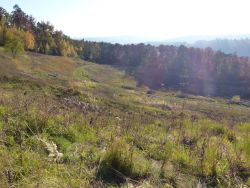 Nonnenklinge (Quelle Grünflächenamt Esslingen)_klein.jpg