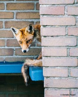 Waiting for the bus.jpg