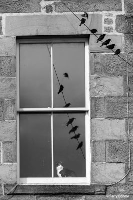 Zimmer mit Aussicht.jpg