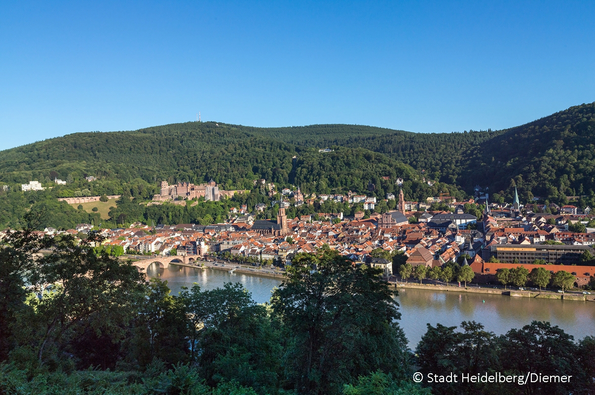 Stadtansicht_Heidelberg.jpg